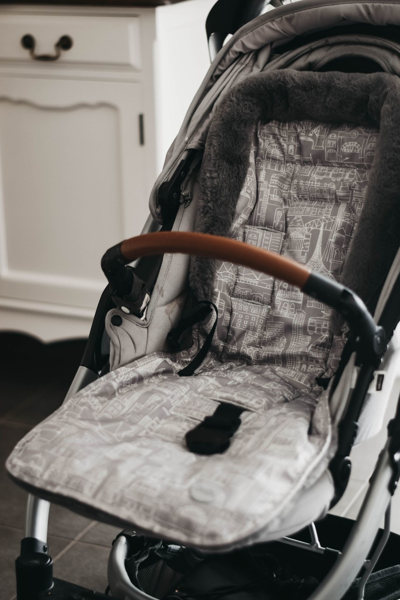 cityscape double stroller