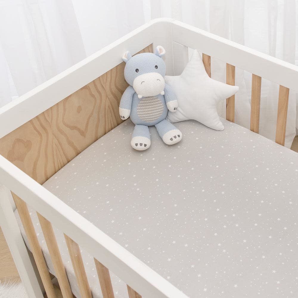 Living Textiles Living Textiles 2-pack Jersey Cot Fitted Sheet - Noah/Stars