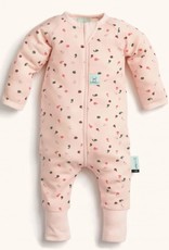 ErgoPouch ErgoPouch 1.0 tog Layers Long Sleeve Cute Fruit