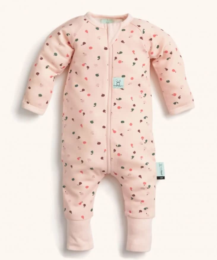 ErgoPouch ErgoPouch 1.0 tog Layers Long Sleeve Cute Fruit