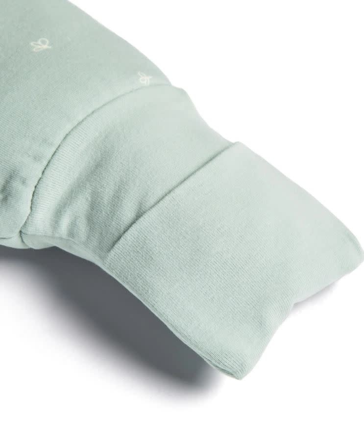 ErgoPouch ErgoPouch 1.0 tog Layers Long Sleeve Cute Fruit