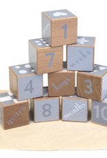 Discoveroo Discoveroo Wooden Shape & Number Blocks