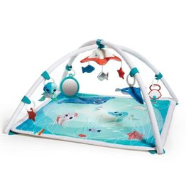 Tiny Love Tiny Love Treasure The Ocean 2 in 1 Musical Gymini