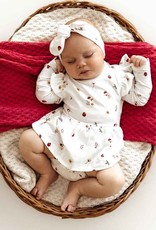 Snuggle Hunny Kids Snuggle Hunny Ladybug Long Sleeve Organic Dress