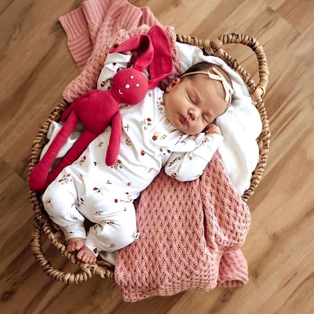 Snuggle Hunny Kids Snuggle Hunny Ladybug Organic Growsuit