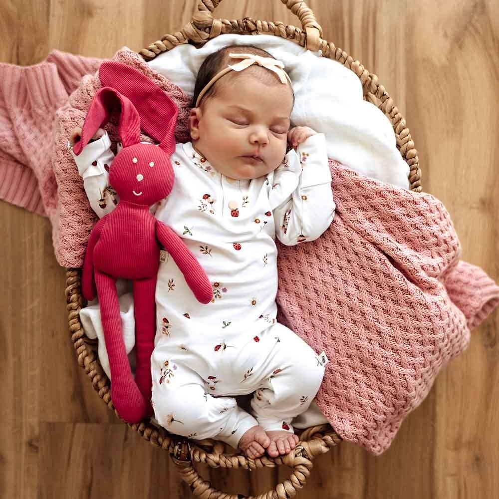 Snuggle Hunny Kids Snuggle Hunny Ladybug Organic Growsuit