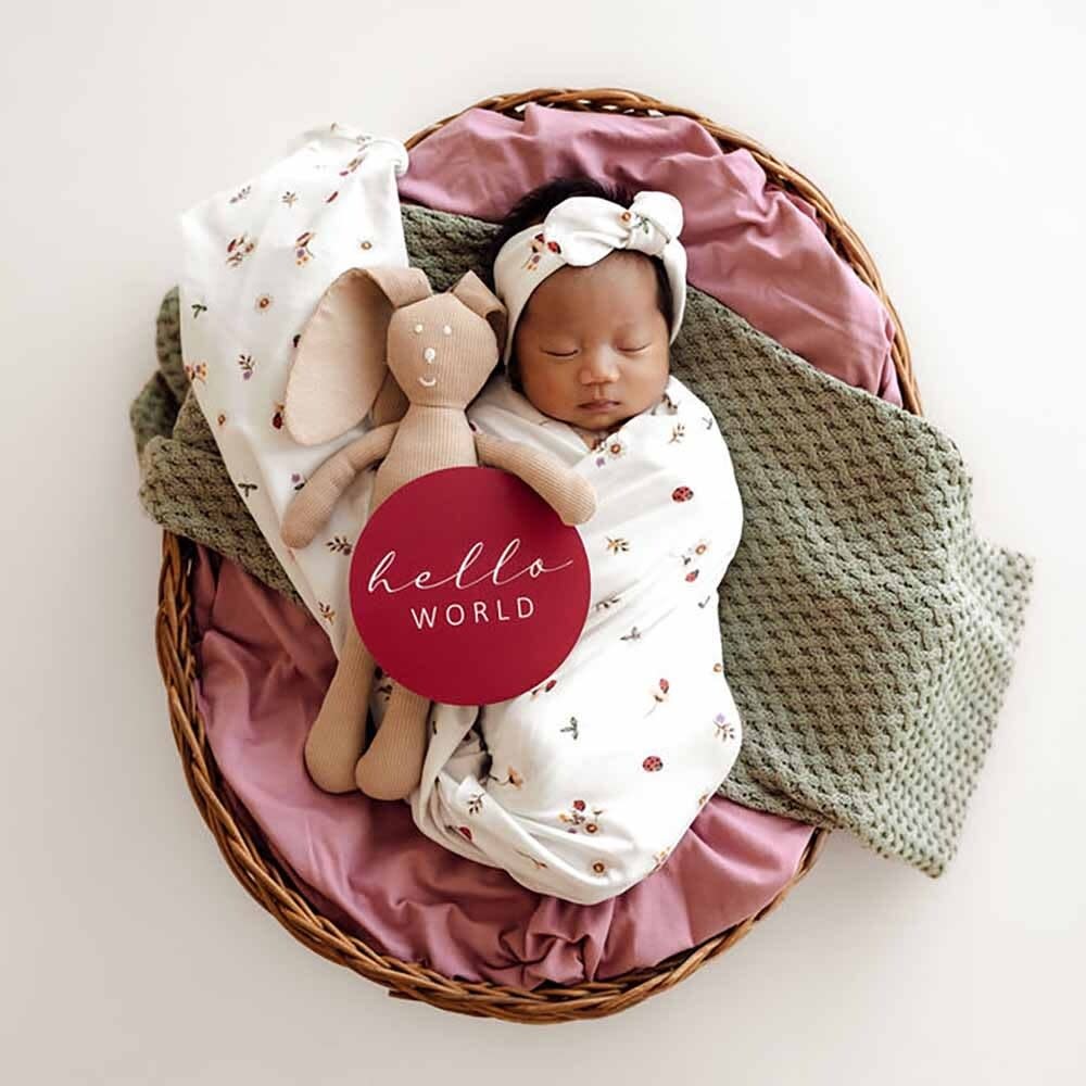 Snuggle Hunny Kids Snuggle Hunny Ladybug & Hibiscus Reversible Milestone Cards