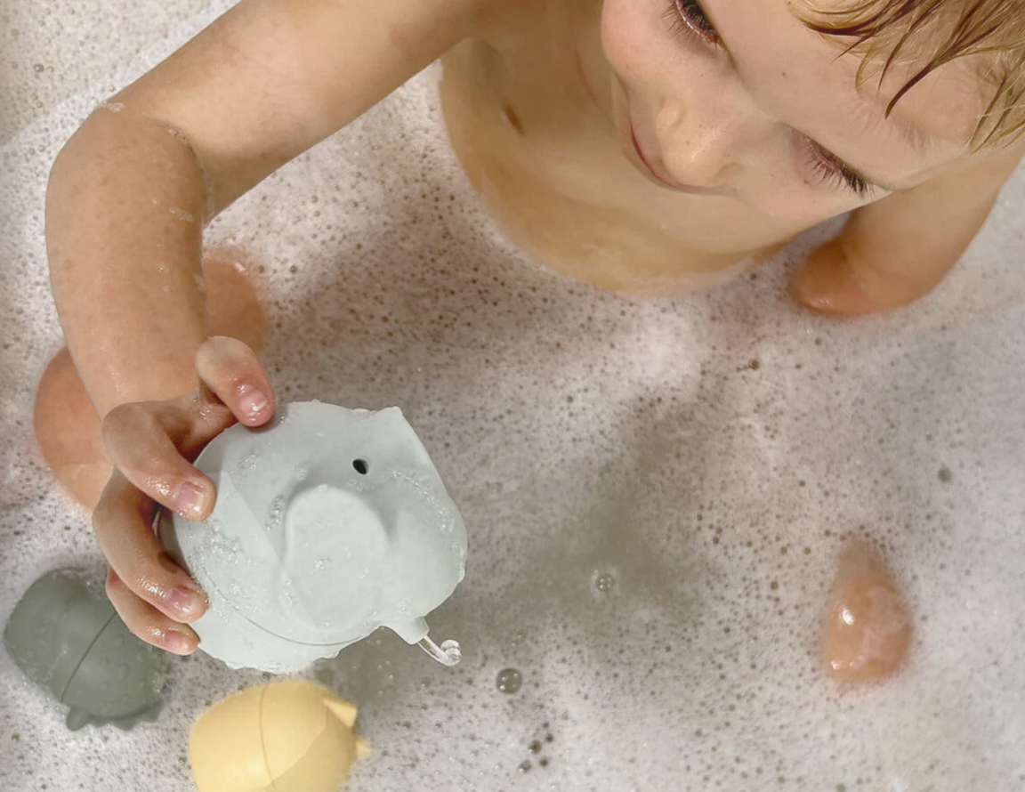 Cherub Baby Cherub Baby Silicone Squeeze and Squirt Bath Toys 5pk