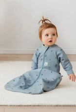 ErgoPouch ErgoPouch 1.0 Tog with sleeves Jersey Sleeping Bag Dragonflies