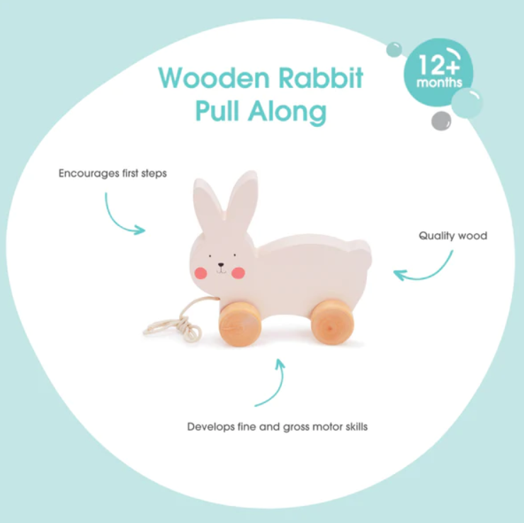 Bubble Bubble Wooden Rabbit Pull Along