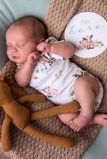 Snuggle Hunny Kids Snuggle Hunny Farm Short Sleeve Organic Bodysuit