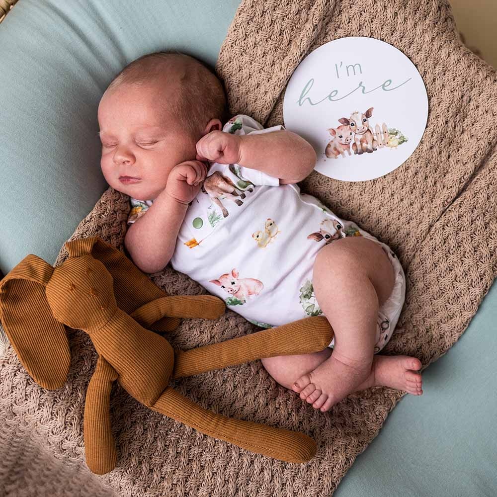 Snuggle Hunny Kids Snuggle Hunny Farm Short Sleeve Organic Bodysuit