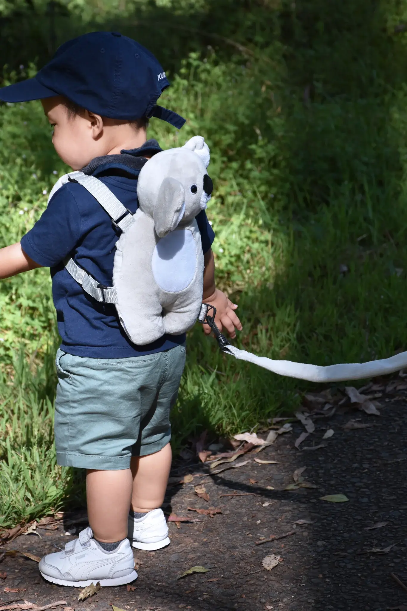 Playette Playette 2 in 1 Harness Buddy Koala