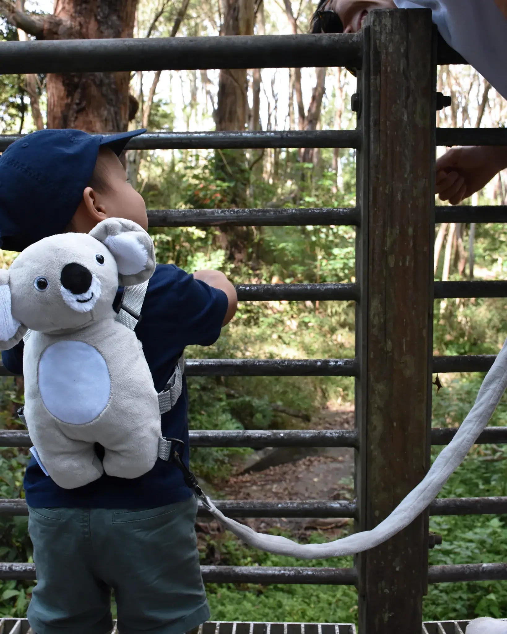 Playette Playette 2 in 1 Harness Buddy Koala