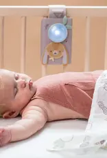 Taf Toys Taf Toys Bunny Soother & Swaddle Set