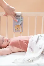 Taf Toys Taf Toys Bunny Soother & Swaddle Set