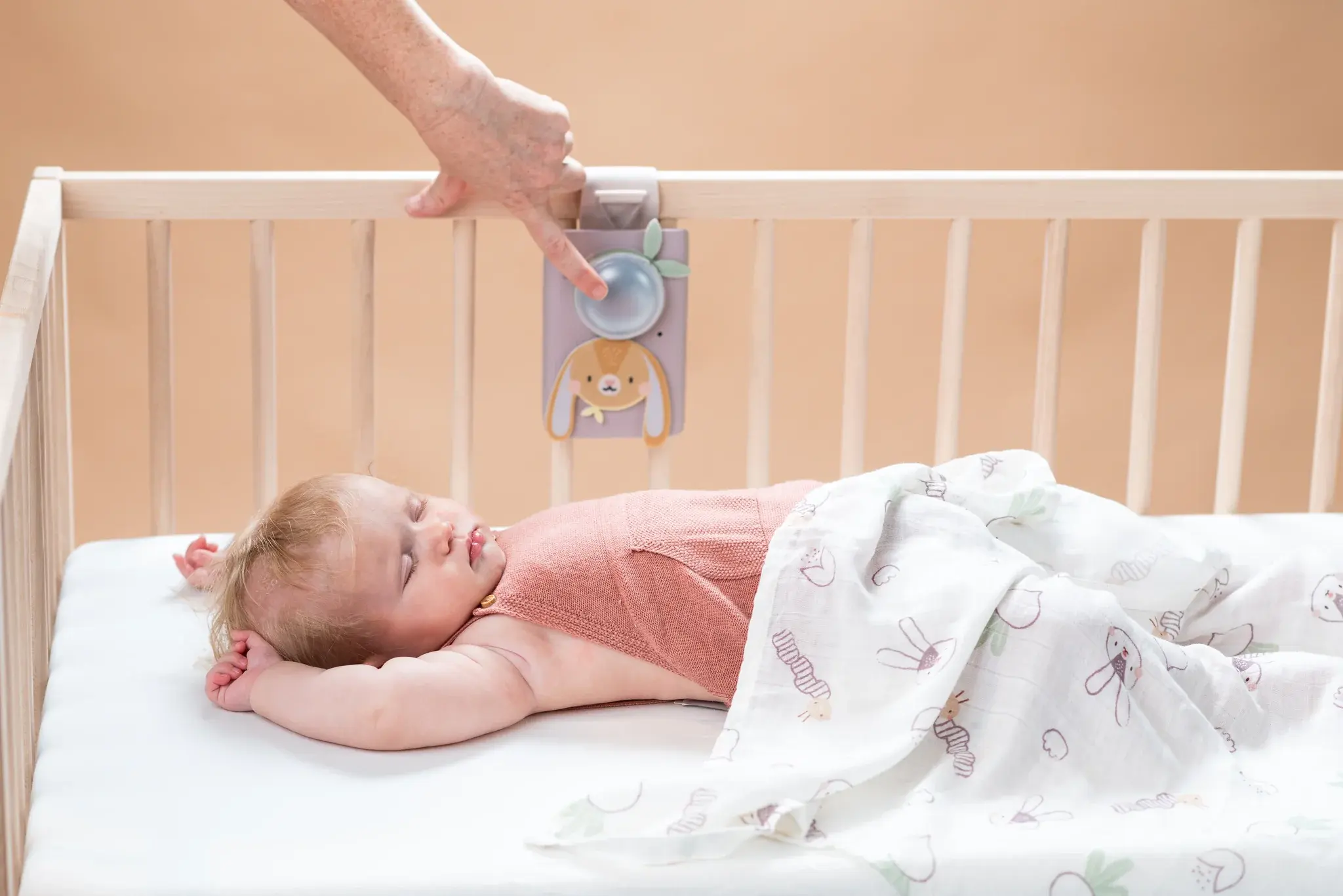 Taf Toys Taf Toys Bunny Soother & Swaddle Set