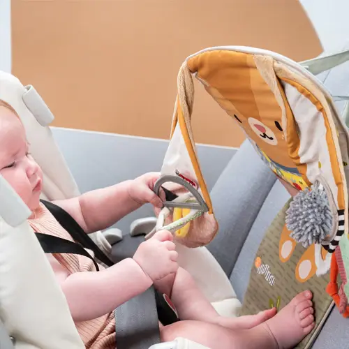 Taf Toys Taf Toys Bunny Play & Kick Car Toy