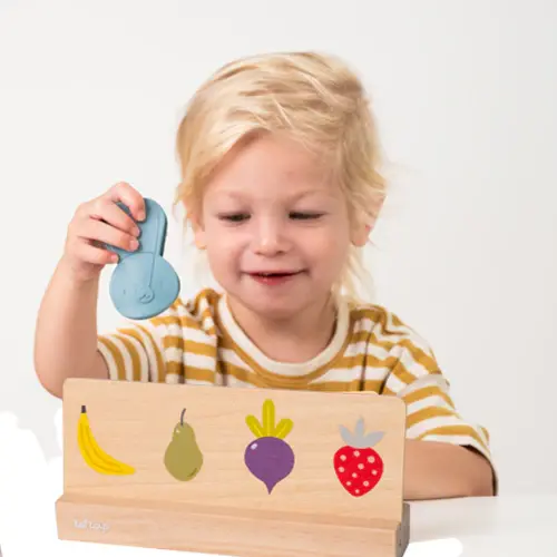 Taf Toys Taf Toys My 1st Bingo