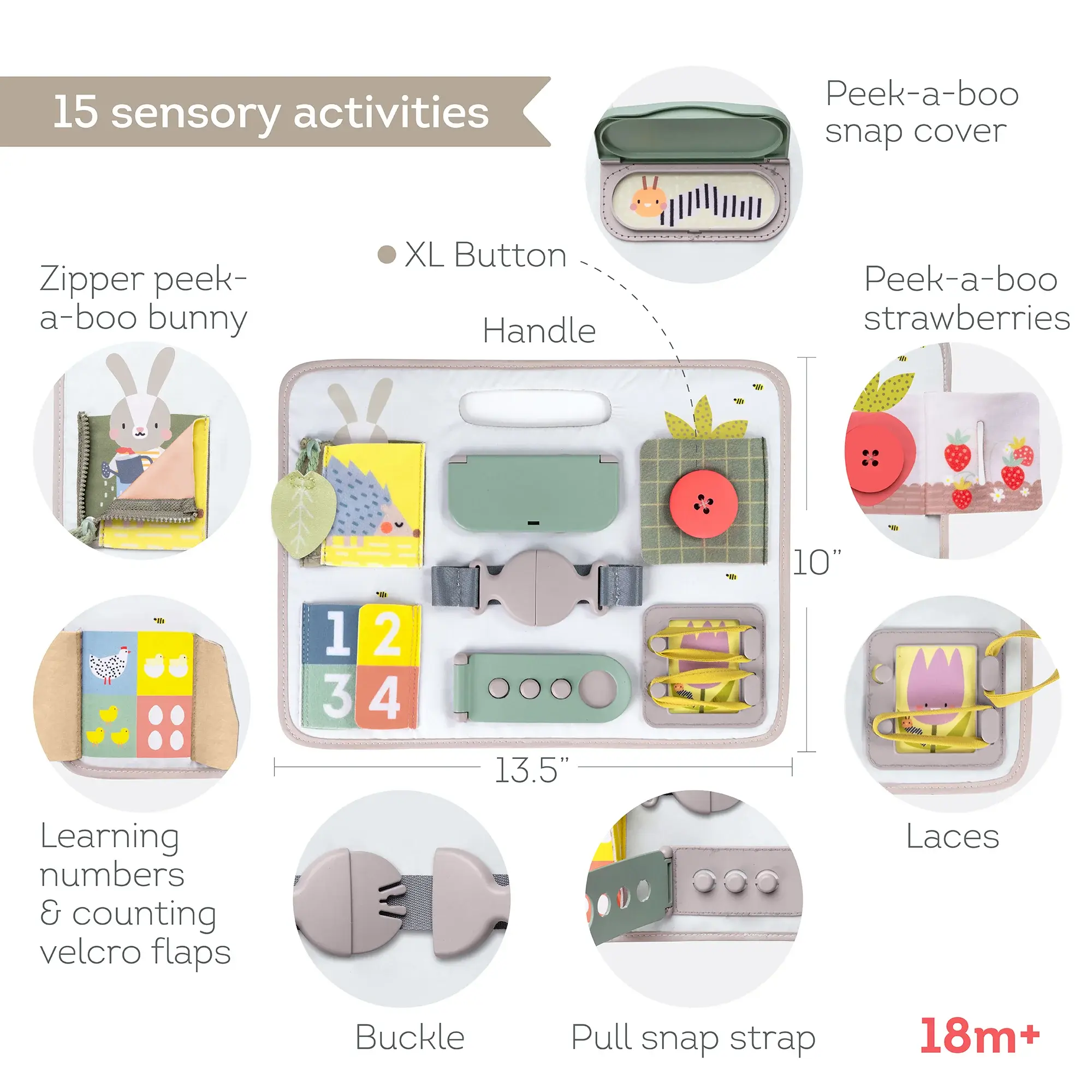 Taf Toys Taf Toys Activity Buckles Board