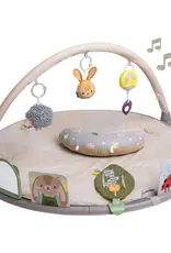 Taf Toys Taf Toys Tummy Time Activity Gym