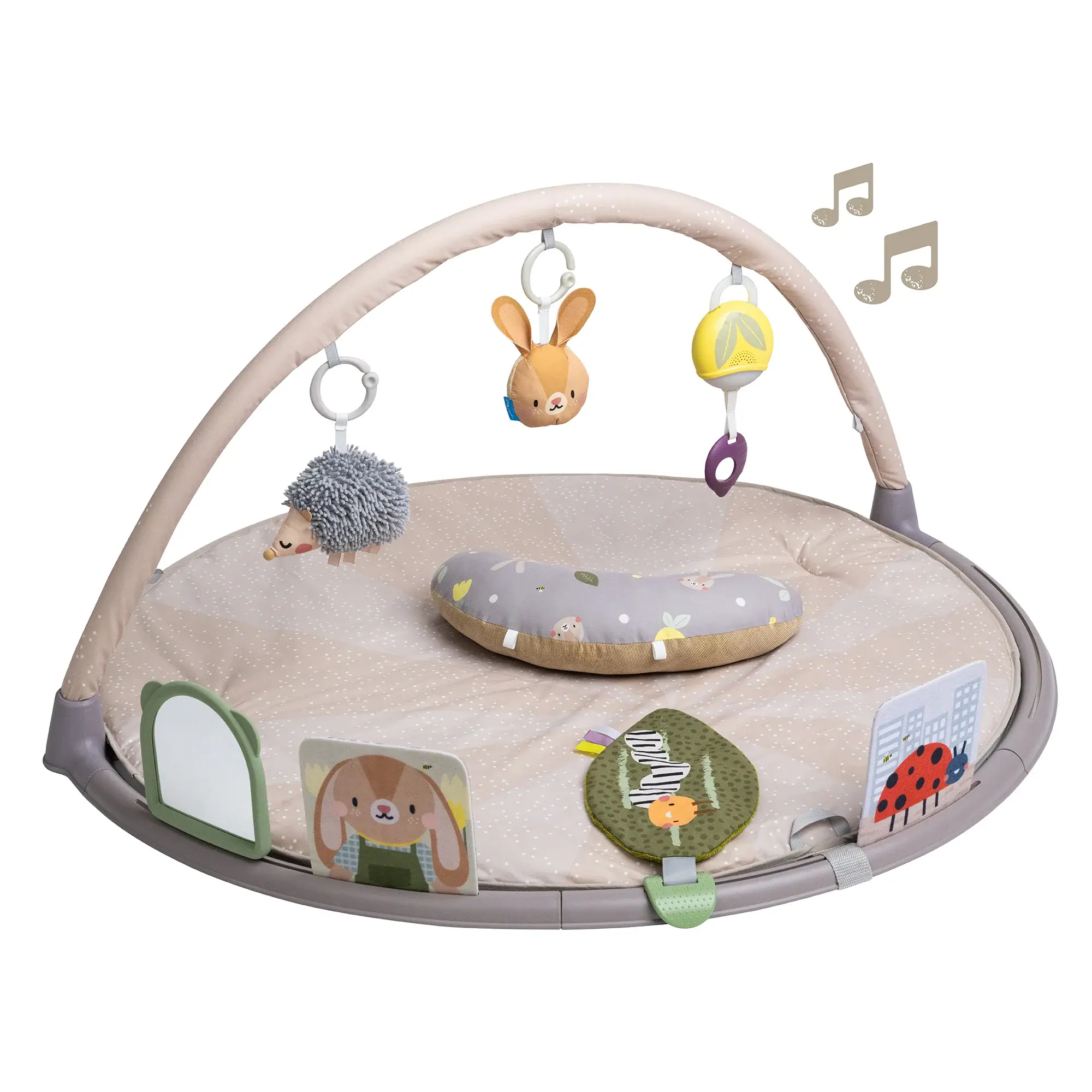 Taf Toys Taf Toys Tummy Time Activity Gym
