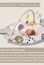 Taf Toys Taf Toys Tummy Time Activity Gym