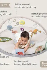 Taf Toys Taf Toys Tummy Time Activity Gym
