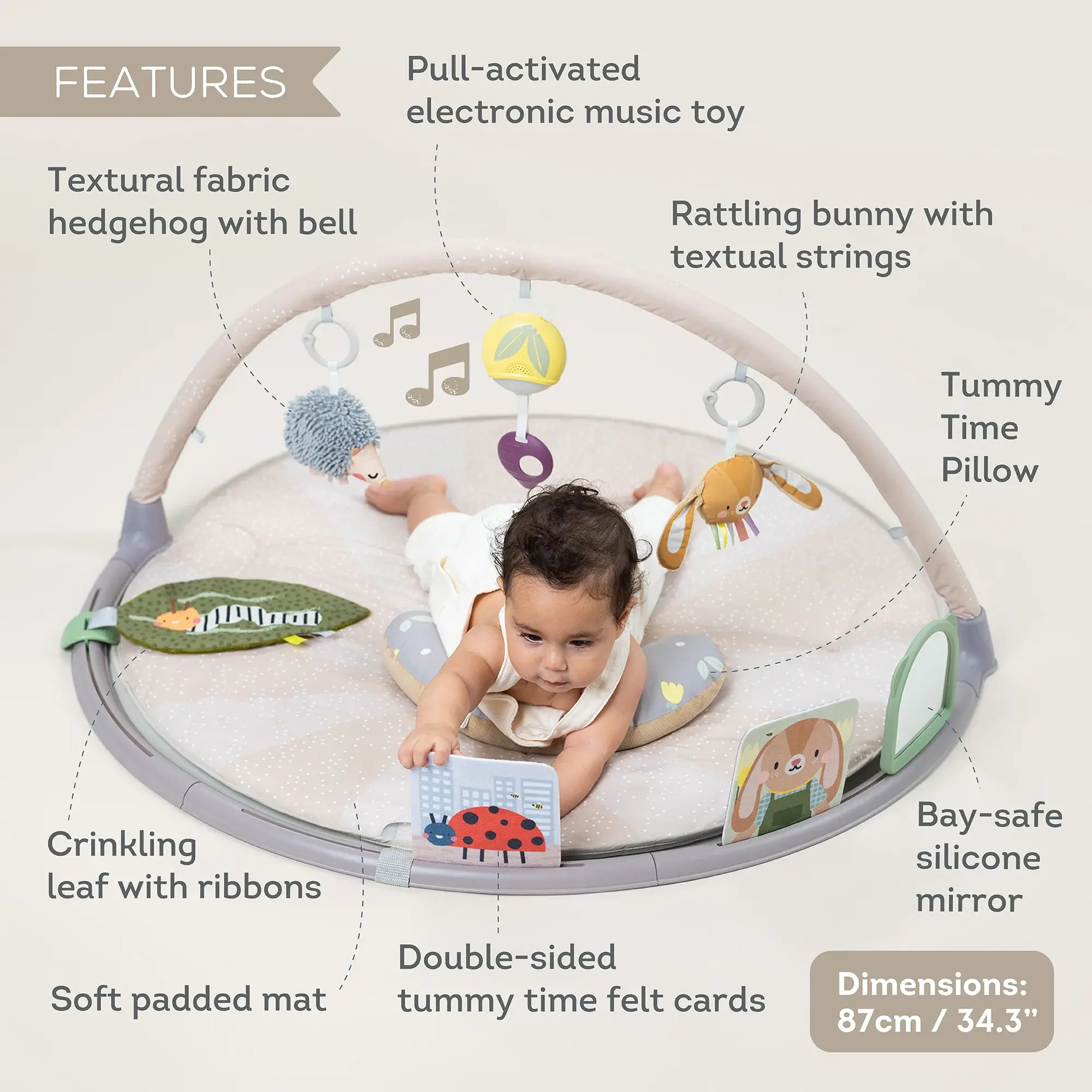 Taf Toys Taf Toys Tummy Time Activity Gym