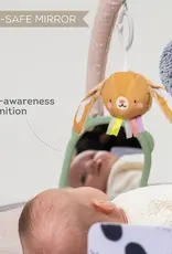 Taf Toys Taf Toys Tummy Time Activity Gym