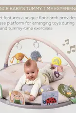 Taf Toys Taf Toys Tummy Time Activity Gym