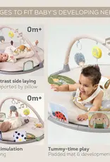 Taf Toys Taf Toys Tummy Time Activity Gym