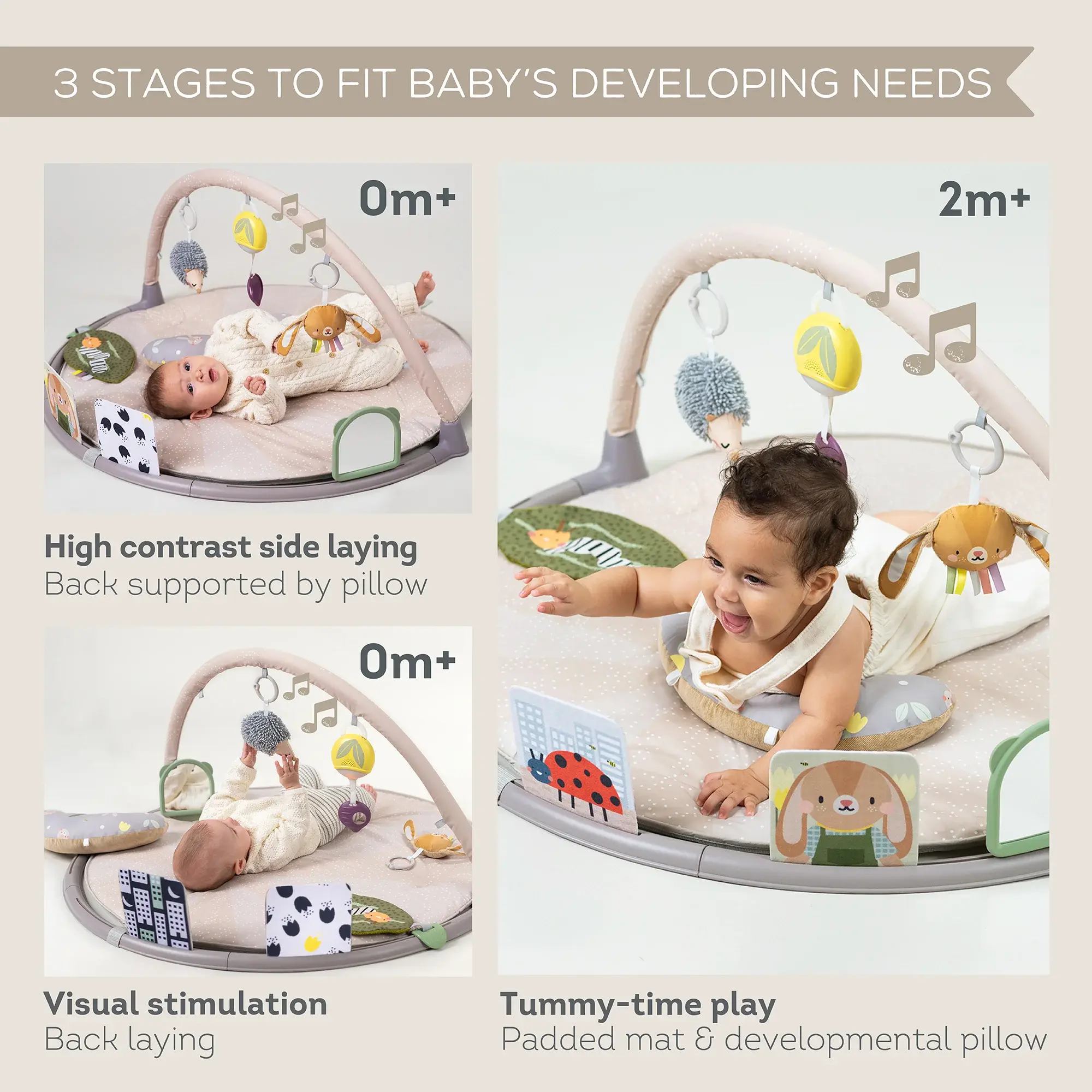 Taf Toys Taf Toys Tummy Time Activity Gym