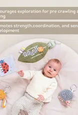 Taf Toys Taf Toys Tummy Time Activity Gym
