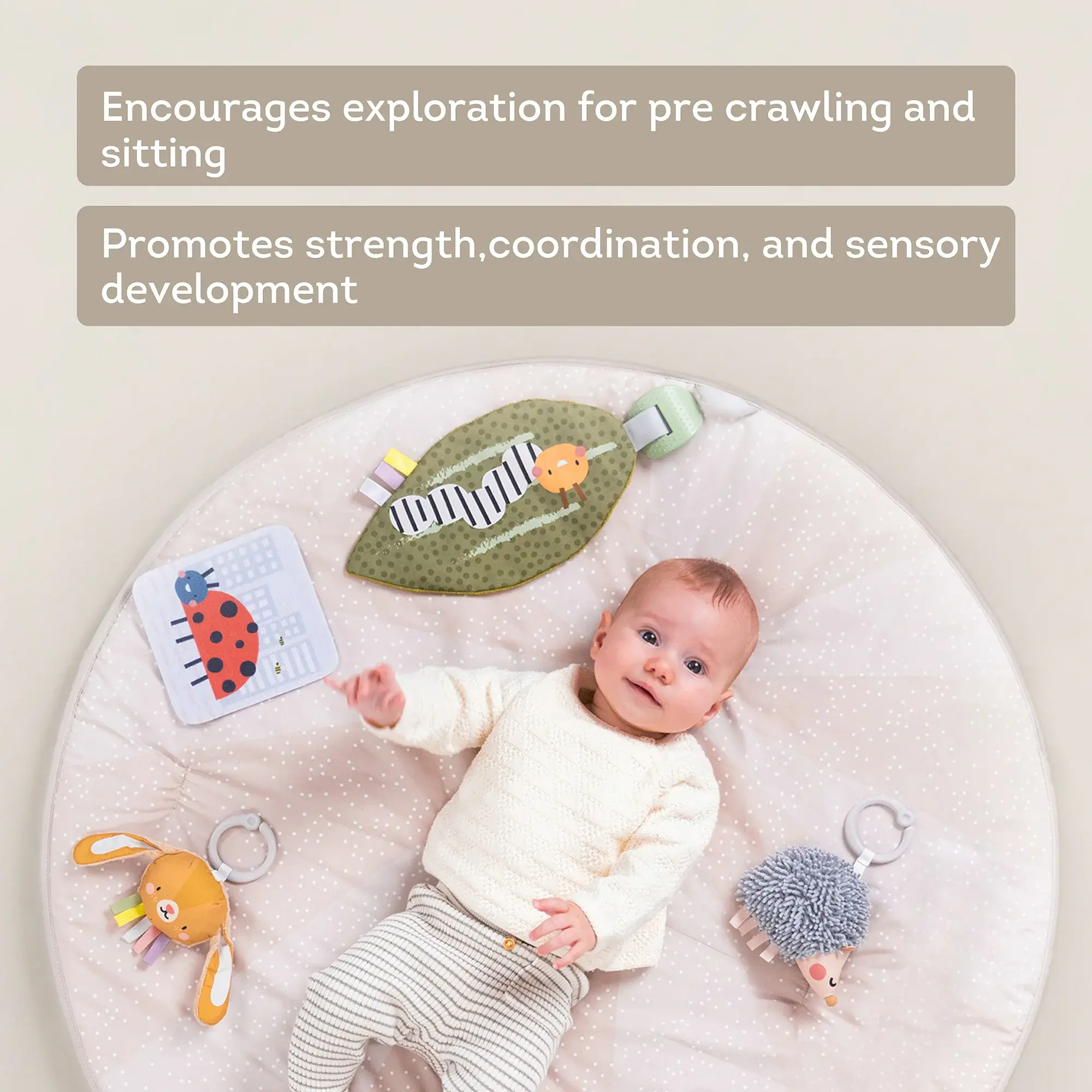Taf Toys Taf Toys Tummy Time Activity Gym