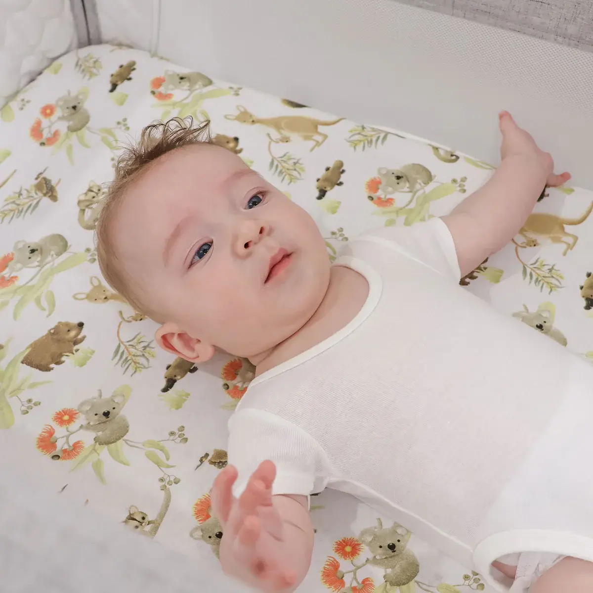 Bubba Blue Bubba Blue Aussie Animals Co-sleeper Jersey Fitted Sheet