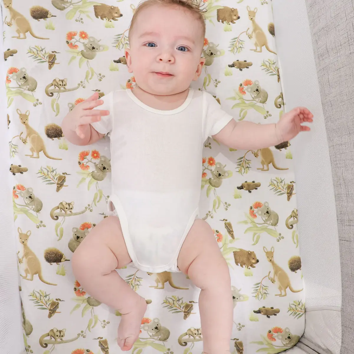 Bubba Blue Bubba Blue Aussie Animals Co-sleeper Jersey Fitted Sheet