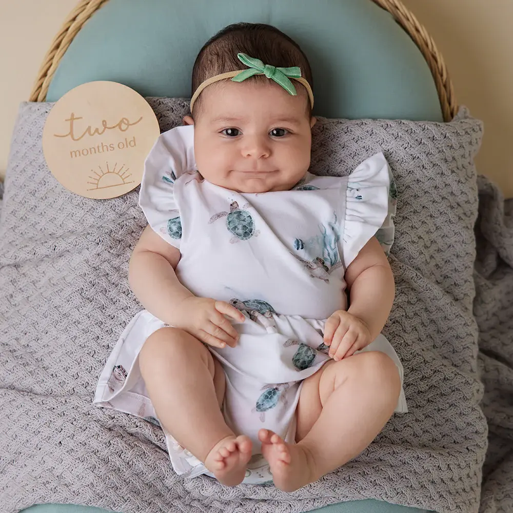 Snuggle Hunny Kids Snuggle Hunny Turtle Short Sleeve Organic Dress
