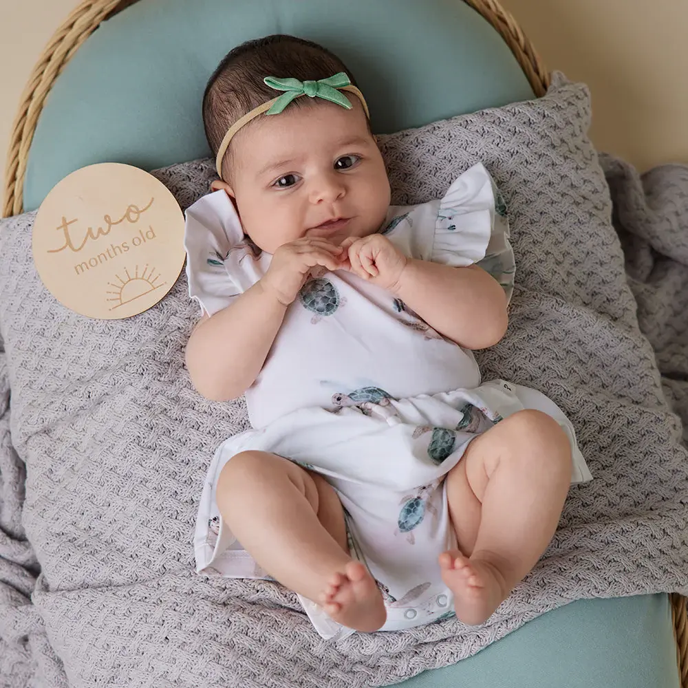 Snuggle Hunny Kids Snuggle Hunny Turtle Short Sleeve Organic Dress
