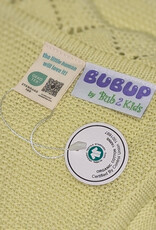 Bub2Kids Bub2Kids 100% Organic Cotton Blanket + Security Comforter Set - Apple Green