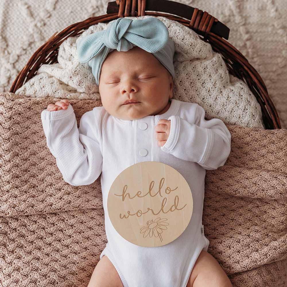 Snuggle Hunny Kids Snuggle Hunny Wooden Milestone Cards Ladybug