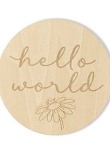 Snuggle Hunny Kids Snuggle Hunny Wooden Milestone Cards Ladybug