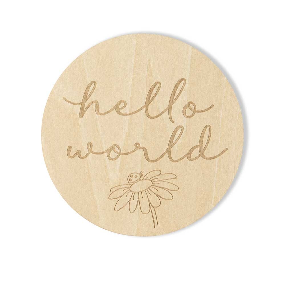 Snuggle Hunny Kids Snuggle Hunny Wooden Milestone Cards Ladybug