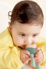 B.Box b.box Silicone Fresh Food Feeder Peony