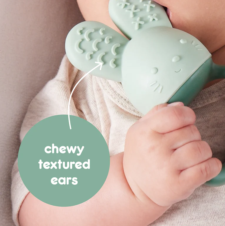 B.Box b.box Chill + Fill Teether Sage
