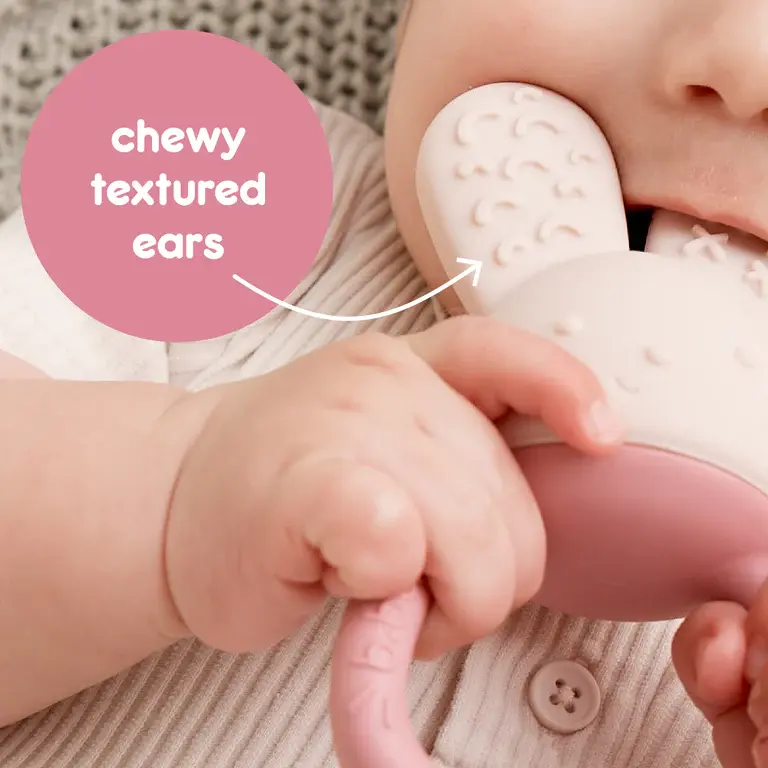 B.Box b.box Chill + Fill Teether Blush