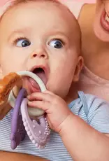 B.Box b.box Trio Teether Peony