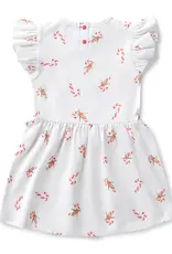 Snuggle Hunny Kids Snuggle Hunny Candy Cane Short Sleeve Organic Dress