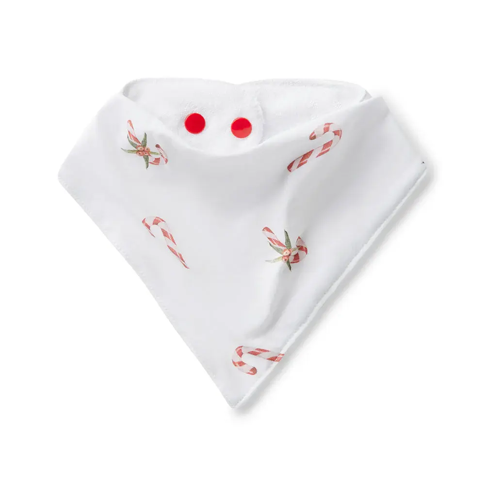 Snuggle Hunny Kids Snuggle Hunny Candy Cane Organic Dribble Bib