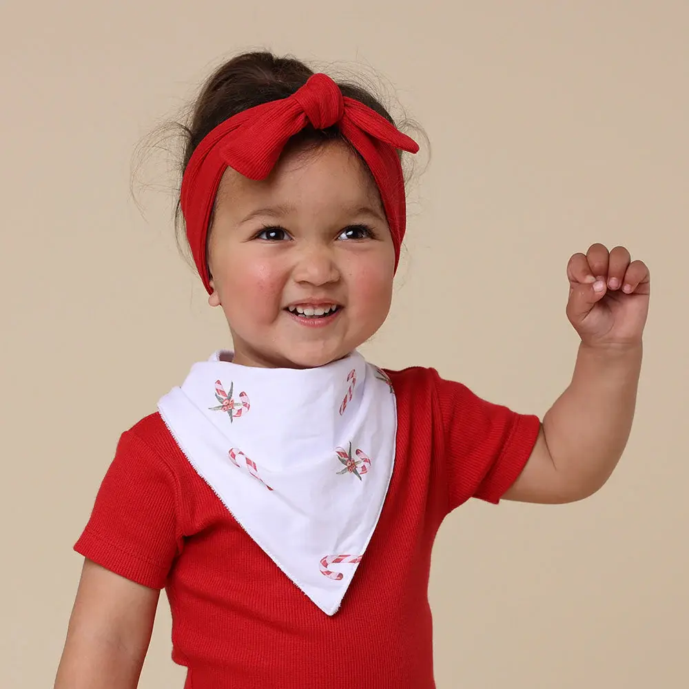 Snuggle Hunny Kids Snuggle Hunny Candy Cane Organic Dribble Bib